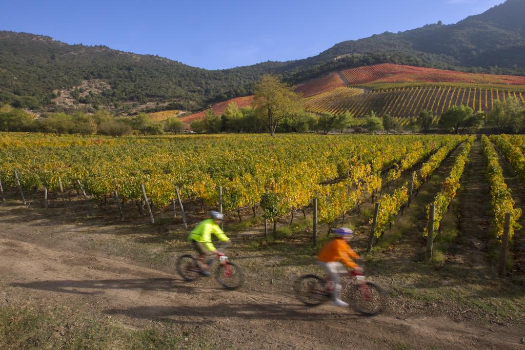 Clos Apalta Residence Relais & Chateaux Santa Cruz Kültér fotó